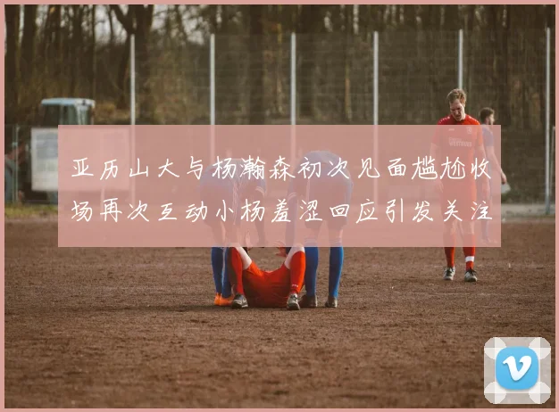 亚历山大与杨瀚森初次见面尴尬收场再次互动小杨羞涩回应引发关注
