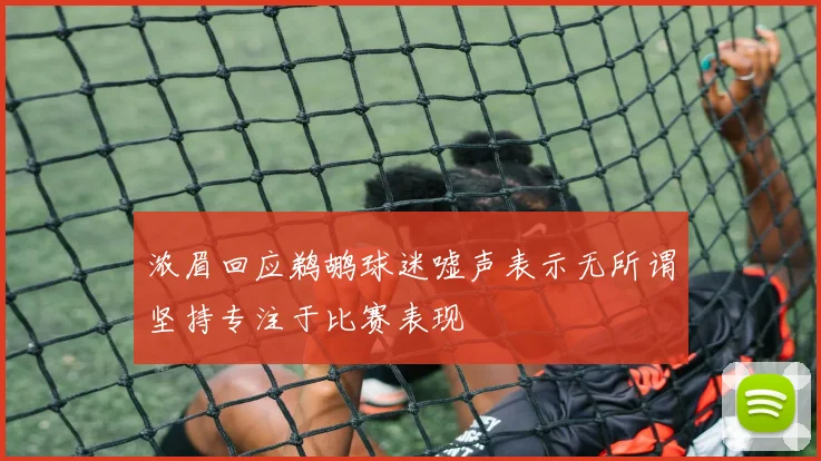 浓眉回应鹈鹕球迷嘘声表示无所谓坚持专注于比赛表现