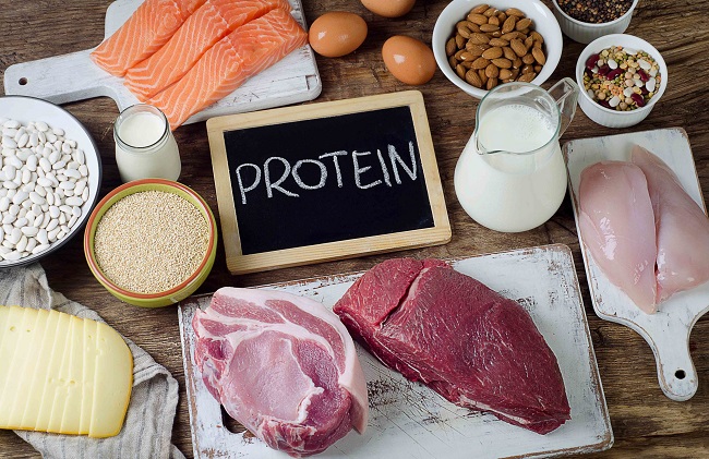 Best Body Building Protein